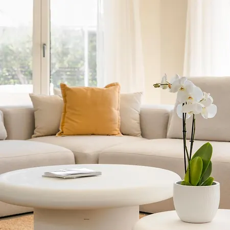 Felicity Свороната